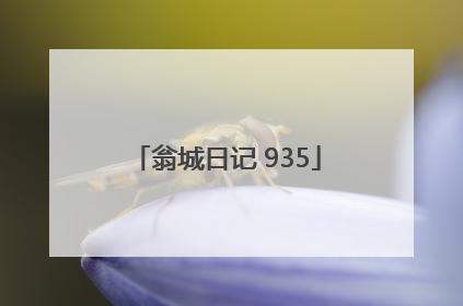 翁城日记 935