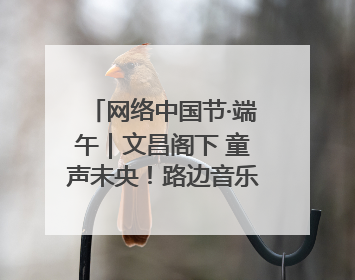 网络中国节·端午｜文昌阁下 童声未央！路边音乐会上演粽香与童真的诗意交响