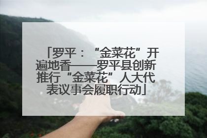 罗平：“金菜花”开遍地香——罗平县创新推行“金菜花”人大代表议事会履职行动