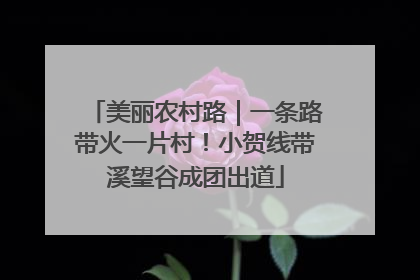 美丽农村路｜一条路带火一片村！小贺线带溪望谷成团出道