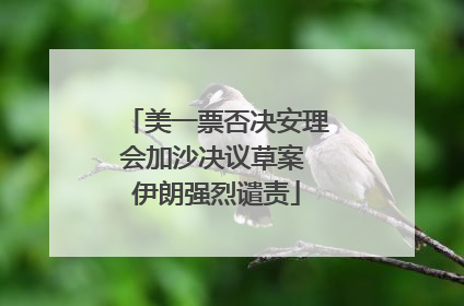 美一票否决安理会加沙决议草案 伊朗强烈谴责