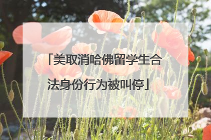 美取消哈佛留学生合法身份行为被叫停