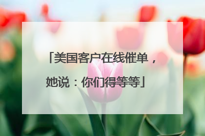 美国客户在线催单，她说：你们得等等