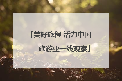 美好旅程 活力中国——旅游业一线观察