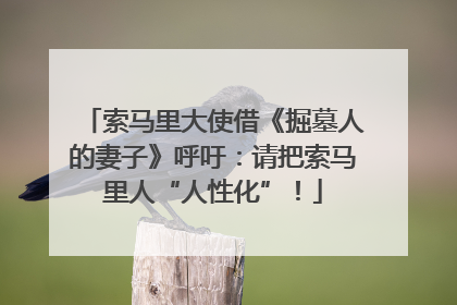 索马里大使借《掘墓人的妻子》呼吁：请把索马里人“人性化”！