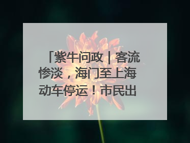 紫牛问政｜客流惨淡，海门至上海动车停运！市民出行不便，呼吁铁路部门恢复班次