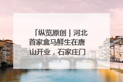 纵览原创｜河北首家盒马鲜生在唐山开业，石家庄门店预计8月开业