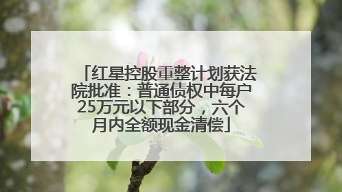 红星控股重整计划获法院批准：普通债权中每户25万元以下部分，六个月内全额现金清偿