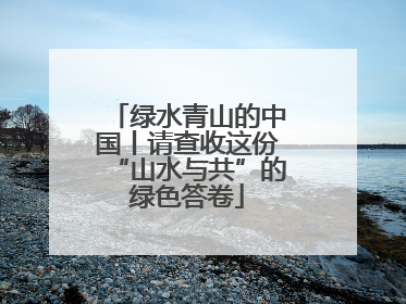 绿水青山的中国丨请查收这份“山水与共”的绿色答卷
