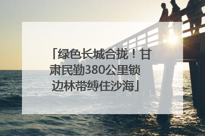 绿色长城合拢！甘肃民勤380公里锁边林带缚住沙海