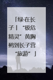 绿·在长子丨“极危精灵”黄胸鹀到长子营“旅游”