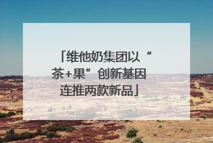 维他奶集团以“茶+果”创新基因连推两款新品