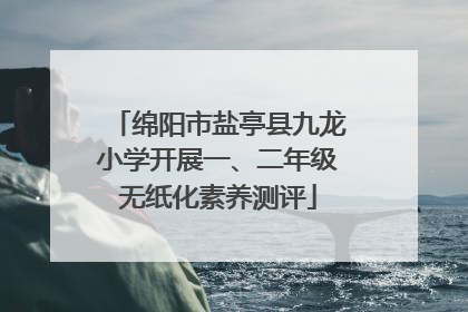 绵阳市盐亭县九龙小学开展一、二年级无纸化素养测评
