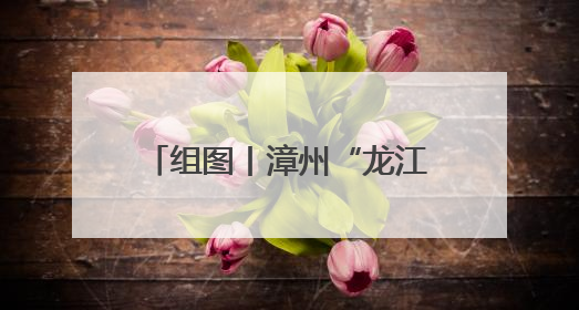 组图丨漳州“龙江岁月杯”传统龙舟邀请赛正式开幕！