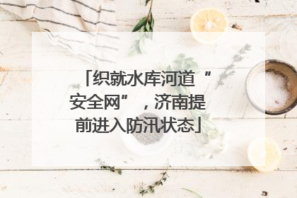 织就水库河道“安全网”，济南提前进入防汛状态