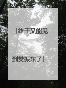 终于又能见到樊振东了