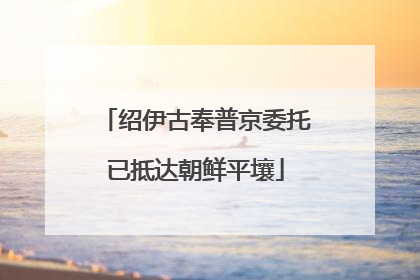 绍伊古奉普京委托已抵达朝鲜平壤