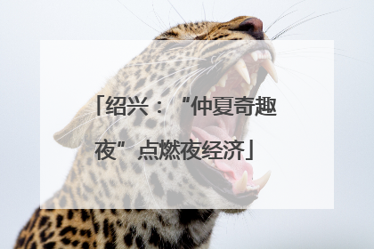 绍兴：“仲夏奇趣夜”点燃夜经济