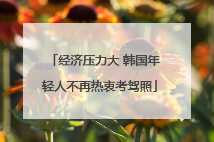 经济压力大 韩国年轻人不再热衷考驾照