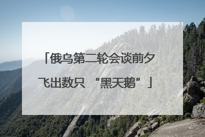 俄乌第二轮会谈前夕 飞出数只 “黑天鹅”
