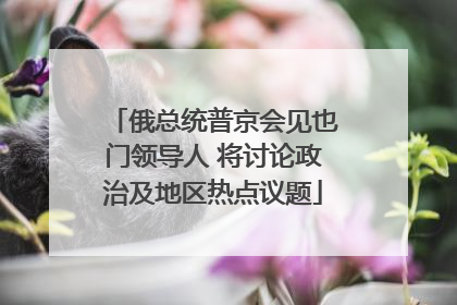 俄总统普京会见也门领导人 将讨论政治及地区热点议题