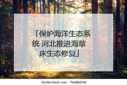 保护海洋生态系统 河北推进海草床生态修复