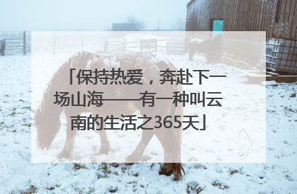 保持热爱，奔赴下一场山海——有一种叫云南的生活之365天