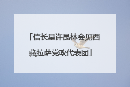 信长星许昆林会见西藏拉萨党政代表团