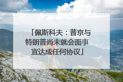 佩斯科夫：普京与特朗普尚未就会面事宜达成任何协议