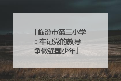 临汾市第三小学：牢记党的教导 争做强国少年