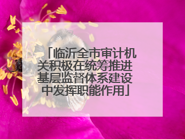 临沂全市审计机关积极在统筹推进基层监督体系建设中发挥职能作用
