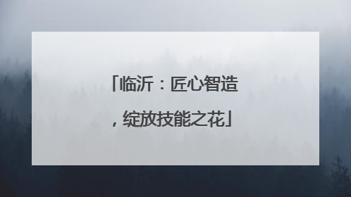 临沂：匠心智造，绽放技能之花