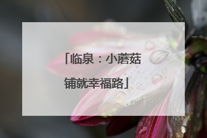 临泉：小蘑菇铺就幸福路