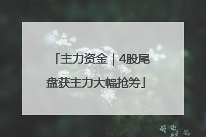 主力资金｜4股尾盘获主力大幅抢筹