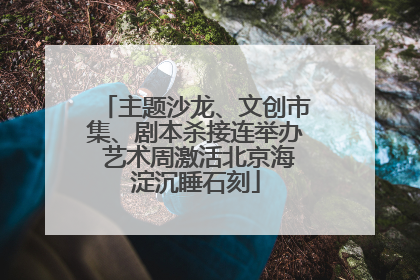 主题沙龙、文创市集、剧本杀接连举办 艺术周激活北京海淀沉睡石刻
