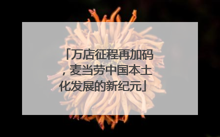 万店征程再加码，麦当劳中国本土化发展的新纪元
