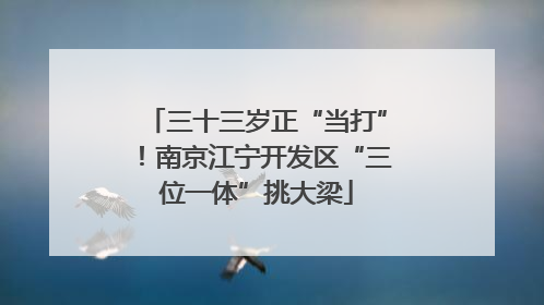 三十三岁正“当打”！南京江宁开发区“三位一体”挑大梁