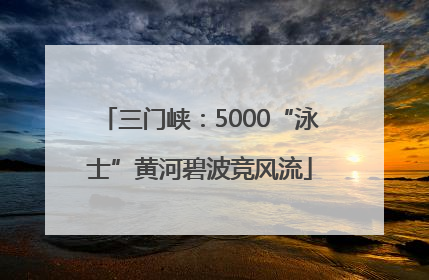 三门峡：5000“泳士”黄河碧波竞风流