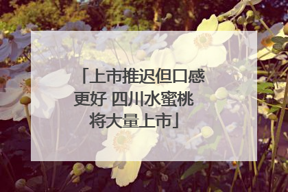 上市推迟但口感更好 四川水蜜桃将大量上市