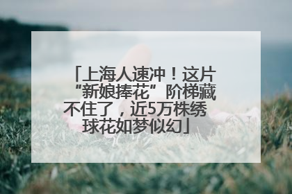 上海人速冲！这片“新娘捧花”阶梯藏不住了，近5万株绣球花如梦似幻