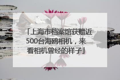 上海市档案馆获赠近500台海鸥相机，来看相机曾经的样子