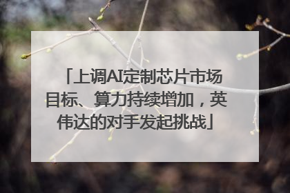 上调AI定制芯片市场目标、算力持续增加，英伟达的对手发起挑战
