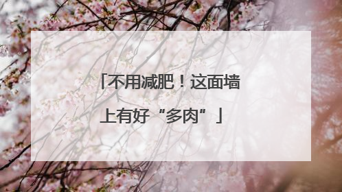 不用减肥！这面墙上有好“多肉”