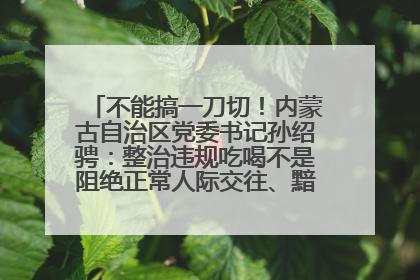 不能搞一刀切！内蒙古自治区党委书记孙绍骋：整治违规吃喝不是阻绝正常人际交往、黯淡人间烟火