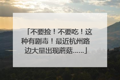 不要捡！不要吃！这种有剧毒！最近杭州路边大量出现蘑菇……