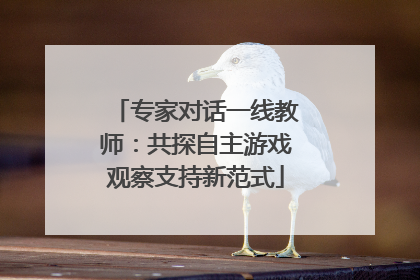专家对话一线教师：共探自主游戏观察支持新范式