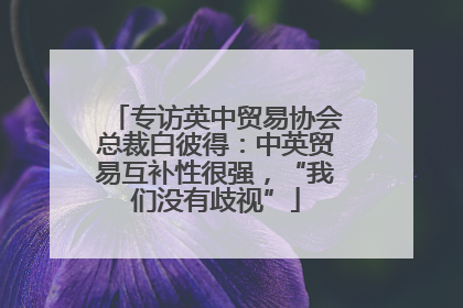 专访英中贸易协会总裁白彼得：中英贸易互补性很强，“我们没有歧视”