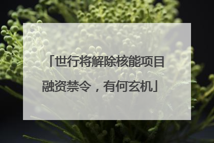 世行将解除核能项目融资禁令，有何玄机