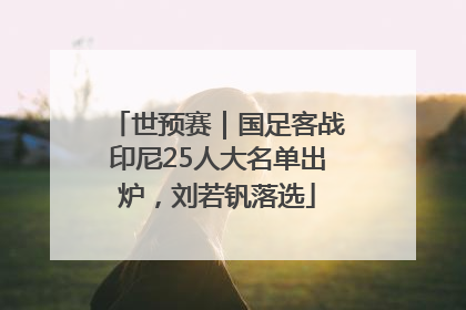 世预赛｜国足客战印尼25人大名单出炉，刘若钒落选