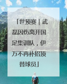 世预赛｜武磊因伤离开国足集训队，伊万不再补招顶替球员